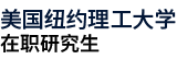 美國紐約理工大學