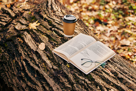 清華大學(xué)MPAcc面試技巧