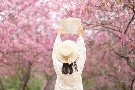 西安外國語大學(xué)MPAcc面試時間 西安外國語大學(xué)MPAcc面試時間