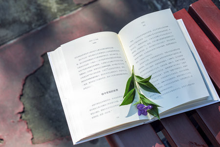 暨南大學MPA面試時間什么時候？