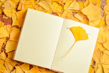 廣州大學(xué)MEM面試一般什么時(shí)候？