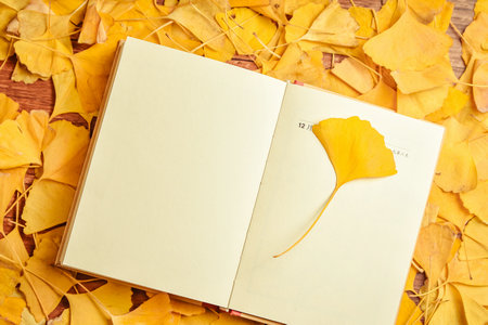 廣州大學MEM面試 廣州大學MEM面試