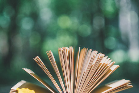 優勢眾多的國民經濟學在職博士，了解一下！