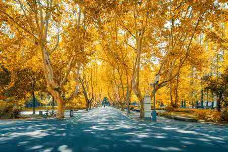 首都經濟貿易大學高級研修班 首都經濟貿易大學高級研修班