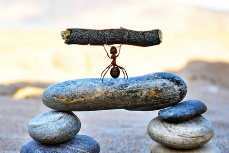 中央財經大學同等學力的報考優勢