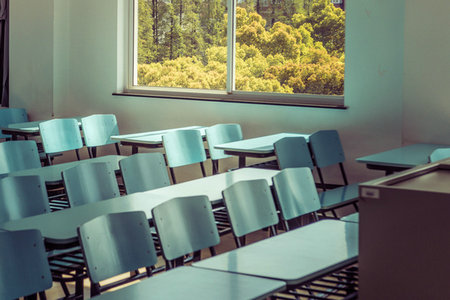 法國里昂商學院中外合作辦學