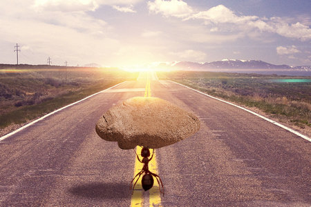 江西財經大學同等學力申碩 江西財經大學同等學力申碩