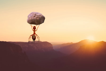 廈門大學EMBA考試 廈門大學EMBA考試