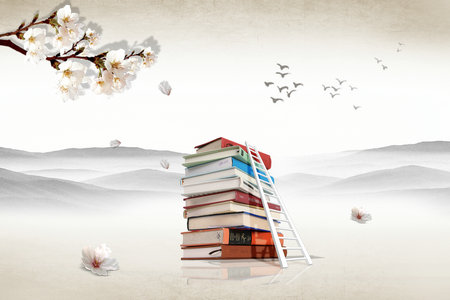 上海對(duì)外經(jīng)貿(mào)大學(xué)MF考試內(nèi)容