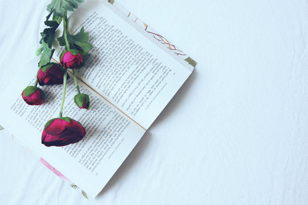 菲律賓凱迪雷拉大學在職研究生