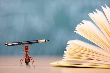 上海對外經貿大學非全日制研究生