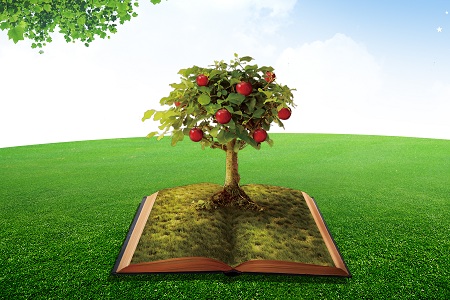 山東非全日制研究生 山東非全日制研究生