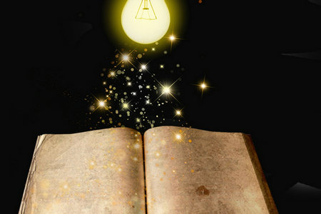 法國維萊爾國際商學院國際碩士上課方式