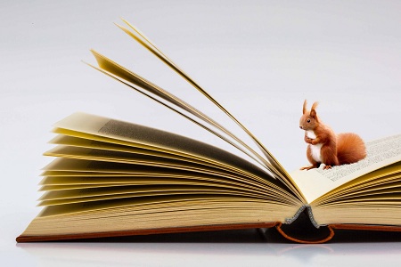 北京外國語大學同等學力申碩考試 北京外國語大學同等學力申碩考試