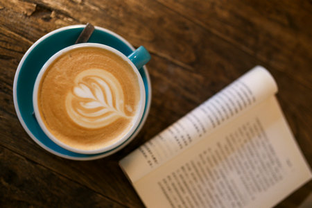 法國尼斯大學(xué)國際碩士