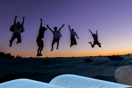 法國里昂商學院中外合作辦學畢業證書