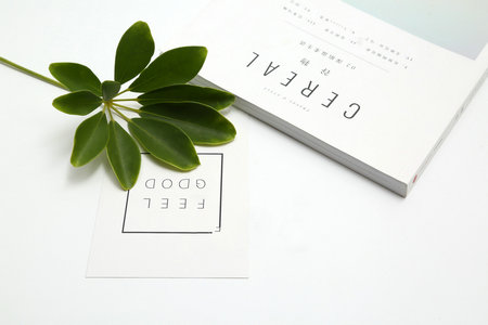 同等學力申碩考試 同等學力申碩考試