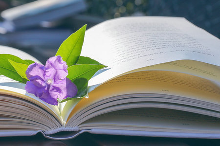 江西師范大學MPA上課方式