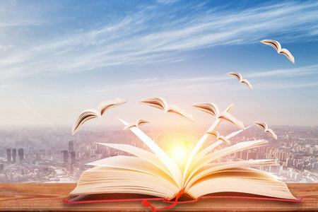 關于天津大學MPAcc入學考試的詳細介紹