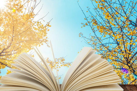 學前教育學同等學力報考條件