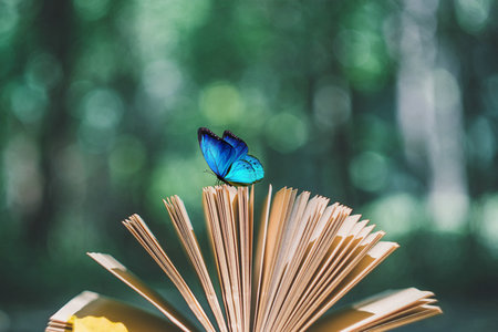 國民經濟學在職研究生開課地區