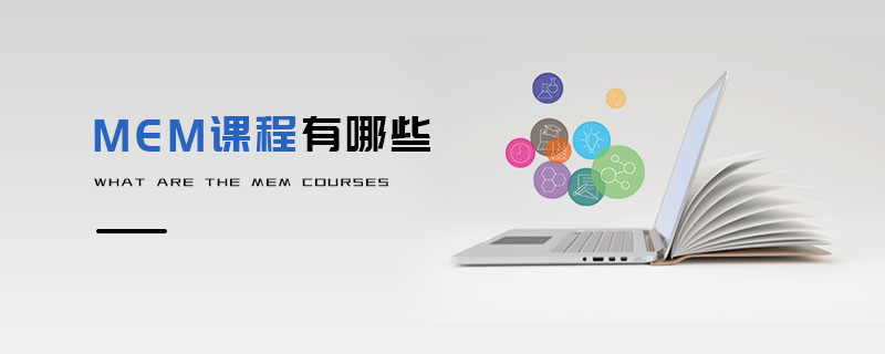 MEM課程有哪些