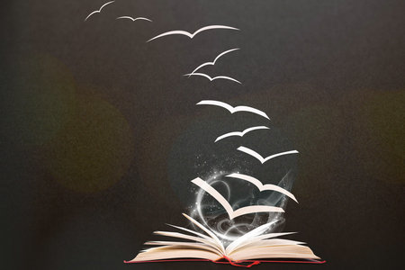 上海同等學(xué)力申碩