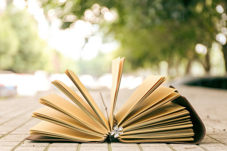 西南財經(jīng)大學(xué)MPA