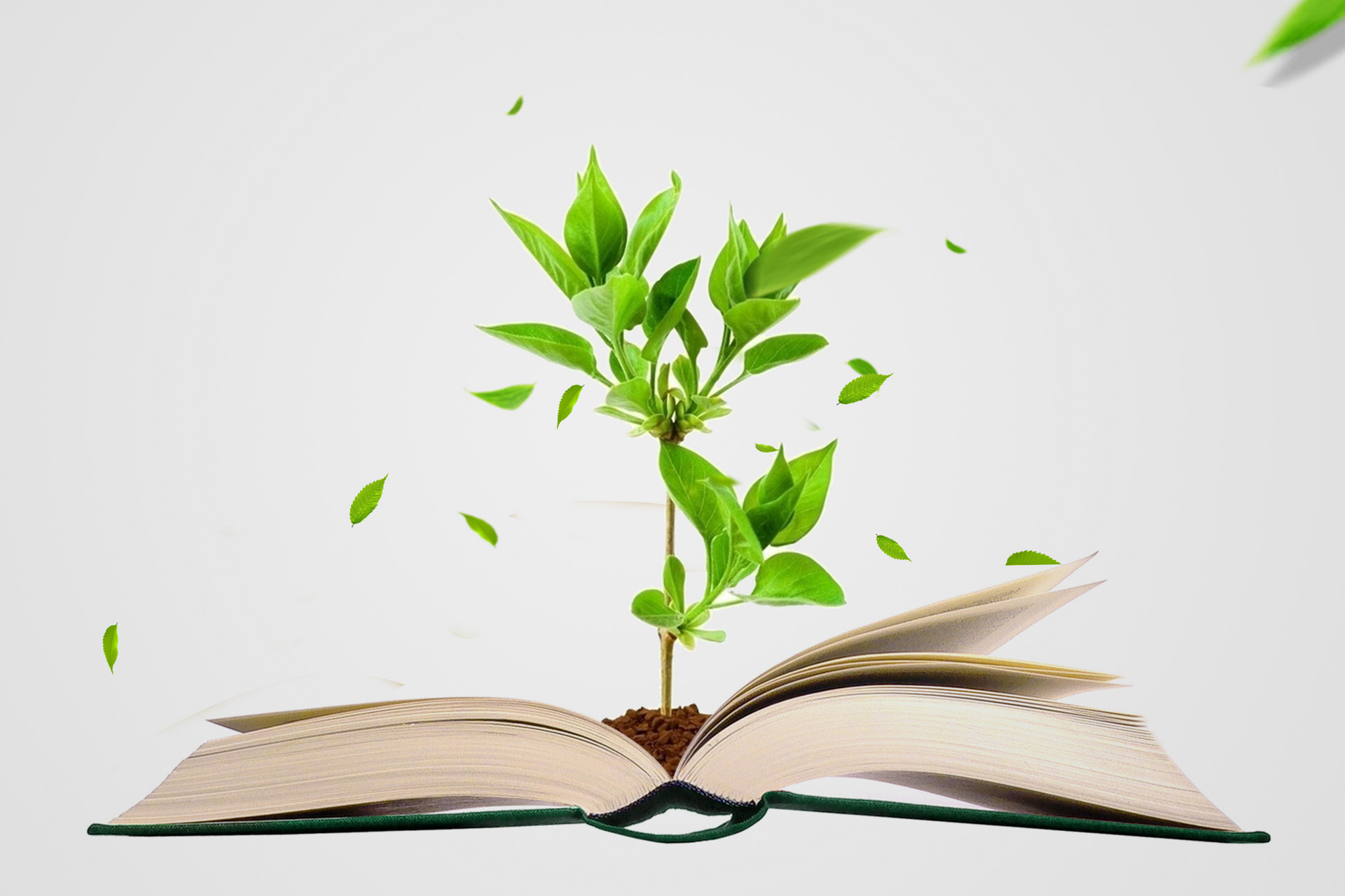 心理學在職研究生