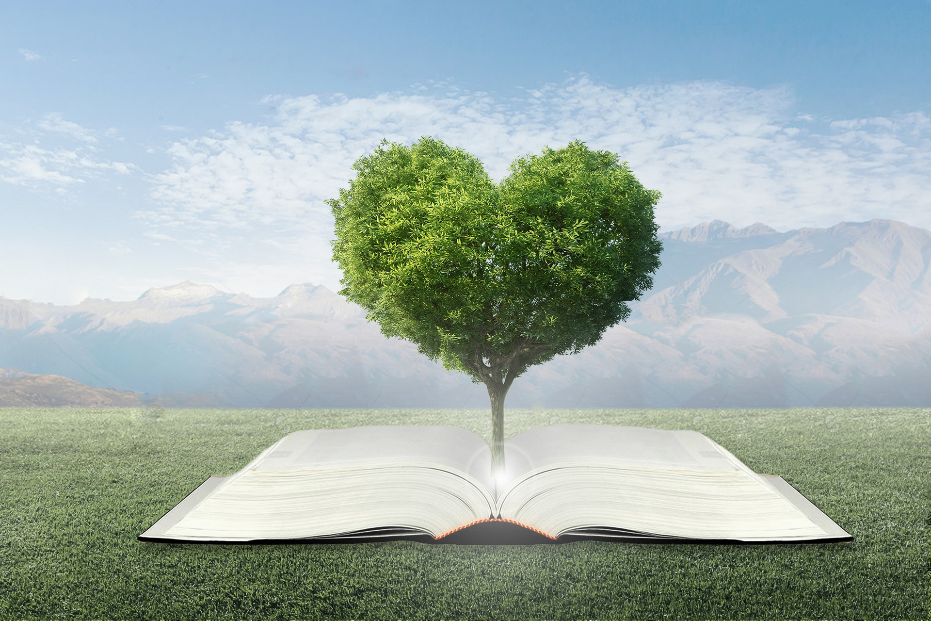 刑法學(xué)在職研究生