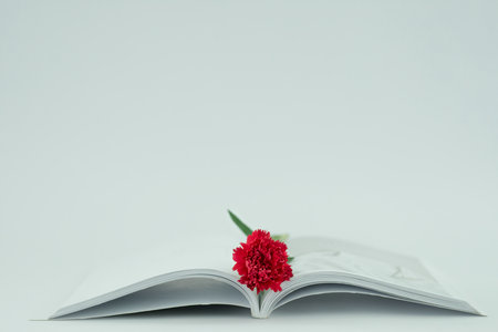 天津大學MPA課程怎么樣? 天津大學MPA課程怎么樣?