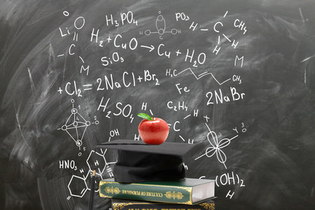 法國尼斯大學(xué)國際碩士