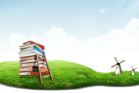   法國維萊爾國際商學院國際碩士