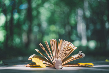 憲法學與行政法學同等學力