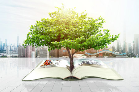 武漢工程大學MBA