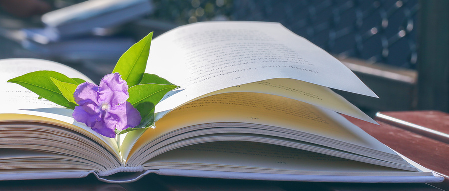 武漢大學MPAcc培養目標及項目特色