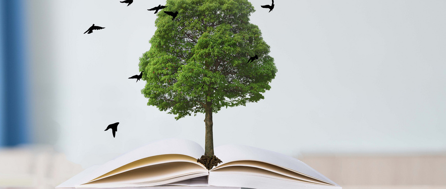 上海理工大學MBA