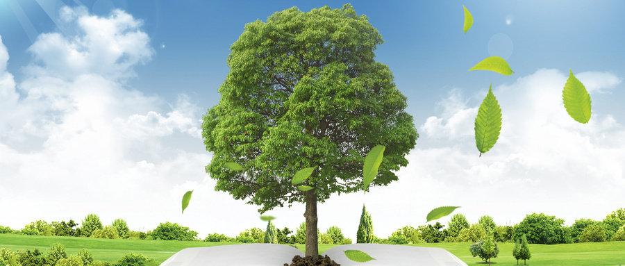 安徽財經大學MPA考試時間