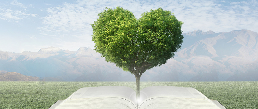 西北工業大學MPAcc注意事項