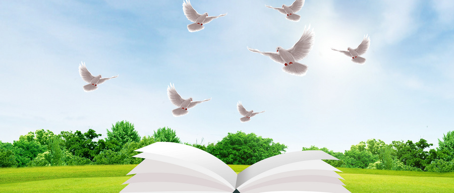 華南理工大學EMBA招生人群