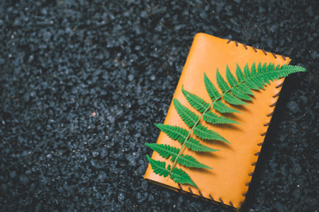 新疆農(nóng)業(yè)大學(xué)MPA報(bào)考條件 新疆農(nóng)業(yè)大學(xué)MPA報(bào)考條件