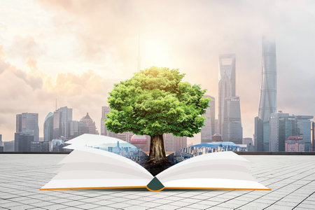 荷商學(xué)院MBA國際碩士辦學(xué)特色 荷商學(xué)院MBA國際碩士辦學(xué)特色