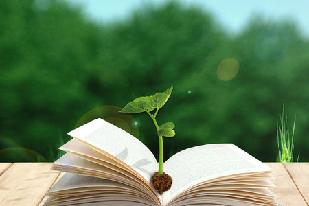 中南林業(yè)科技大學(xué)在職研究生報(bào)考時(shí)間