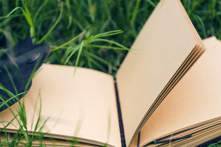 河南師范大學在職研究生報名入口