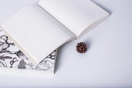 首都經濟貿易大學專業碩士畢業論文要求 首都經濟貿易大學專業碩士畢業論文要求