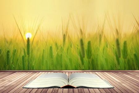 中央財經大學專業碩士上課方式有哪些? 中央財經大學專業碩士上課方式有哪些?