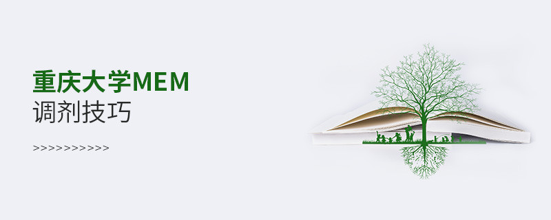 重慶大學MEM調劑有哪些技巧？