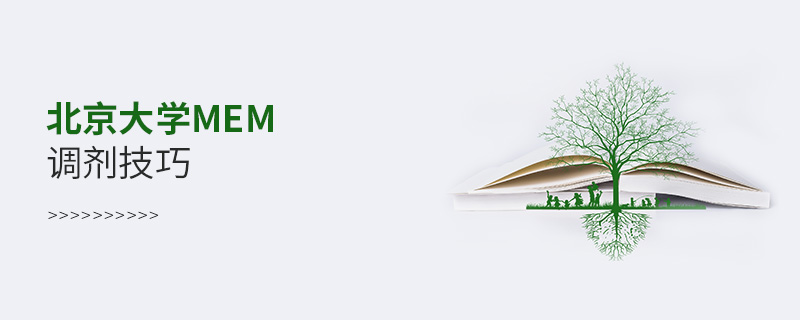 北京大學(xué)MEM調(diào)劑技巧