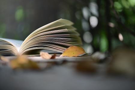 西南交通大學非全日制研究生MBA專業調劑流程 西南交通大學非全日制研究生MBA專業調劑流程