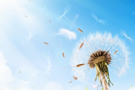 報考南昌大學MPA專業需要經歷什么樣的流程? 報考南昌大學MPA專業需要經歷什么樣的流程?